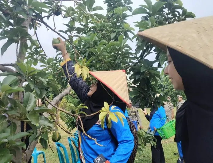 Tindak Lanjuti Lawatan Bupati, Delegasi Brudifa Brunei Jajaki Potensi Bisnis Strategis di Situbondo