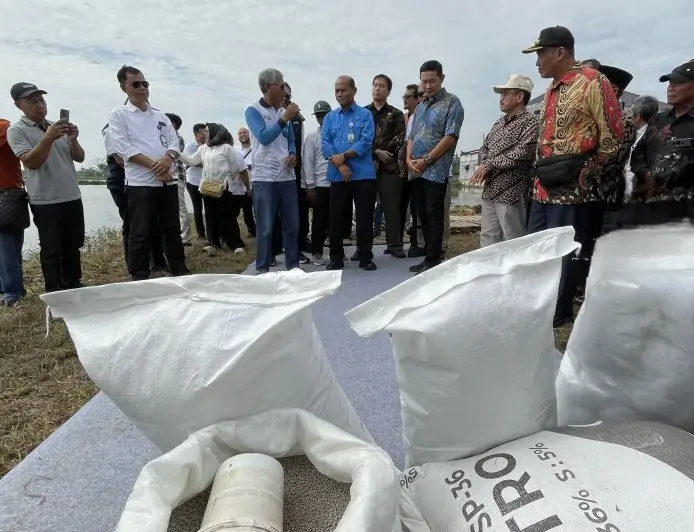 Seret Nama Lamongan, DKPP Telusuri Penjualan Pupuk Subsidi Ilegal ke Ngawi