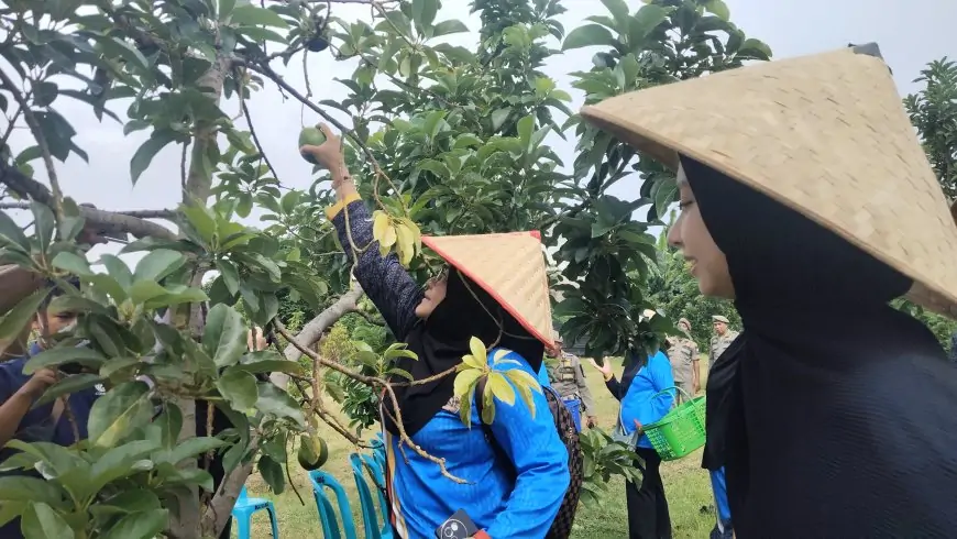 Tindak Lanjuti Lawatan Bupati, Delegasi Brudifa Brunei Jajaki Potensi Bisnis Strategis di Situbondo