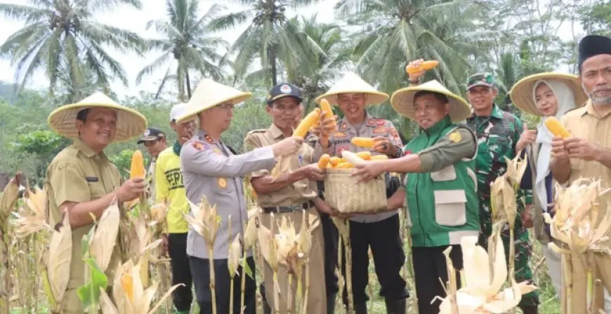 Panen Raya Jagung di Watulimo, Polres Trenggalek Dorong Anak Muda Garap Potensi Pertanian