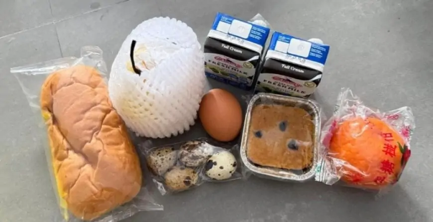 Sengkarut Makan Bergizi Gratis di Tulungagung: Menu Tak Layak, Langgar SOP