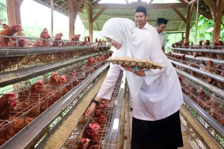 BUMDes Alasbuluh Banyuwangi Sulap Telur Lokal Jadi Senjata Lawan Stunting