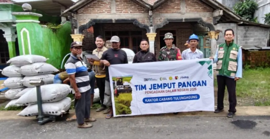 Target Naik 52 Persen, Bulog Tulungagung Serap 15 Ribu Ton Gabah di Awal 2026