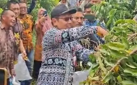Inovasi Desa Pengalangan Menganti, TKD Disulap Jadi Wisata Petik Buah dan Pasar Desa
