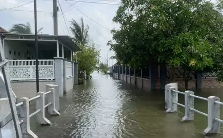 Banjir Bengawan Jero Sudah Empat Bulan, 45 Desa di Lamongan Masih Terendam
