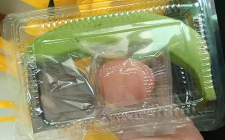 Menu MBG di Bungah Gresik Jadi Sorotan, Orang Tua Siswa Pertanyakan Kesesuaian Anggaran