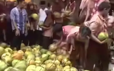 Akibat Menu MBG Kelapa Utuh, 9 SPPG di Gresik Dihentikan Beroperasi oleh BGN
