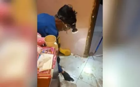 Sedang Terlelap, Warga Sarirejo Lamongan Dikagetkan Munculnya Kobra di Dalam Kamar