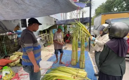 Jelang Lebaran Ketupat, Penjual Janur Dadakan di Lamongan Mulai Menjamur