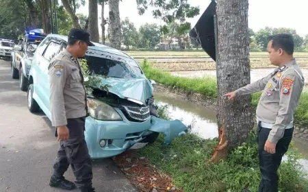 Mobil Tabrak Pohon Penumpang Terluka