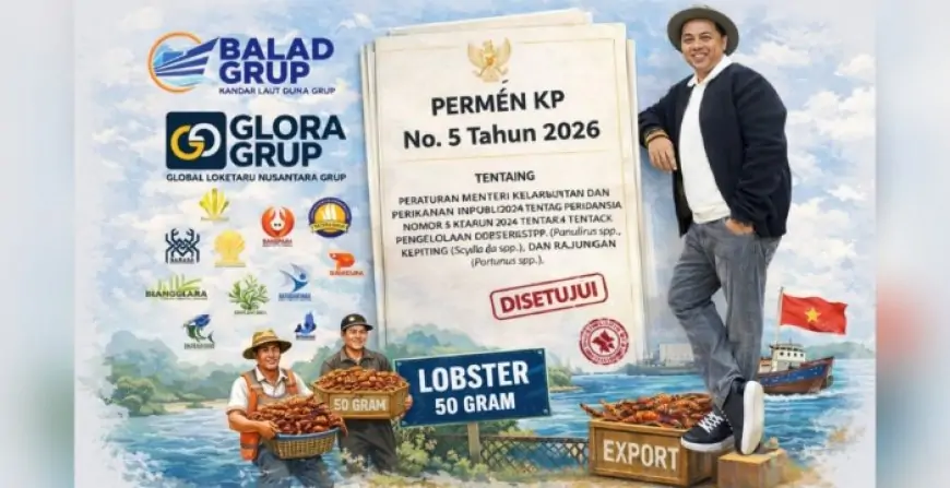 Usul Balad Grup Diterima, Permen KP 5/2026 Jadi Angin Segar Budidaya Lobster Nasional