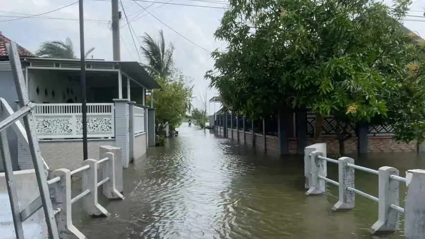 Banjir Bengawan Jero Sudah Empat Bulan, 45 Desa di Lamongan Masih Terendam