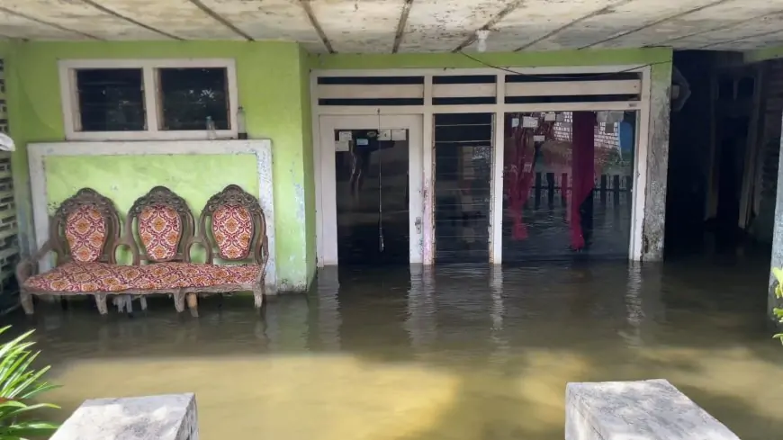 Banjir Bengawan Jero Sudah Empat Bulan, 45 Desa di Lamongan Masih Terendam