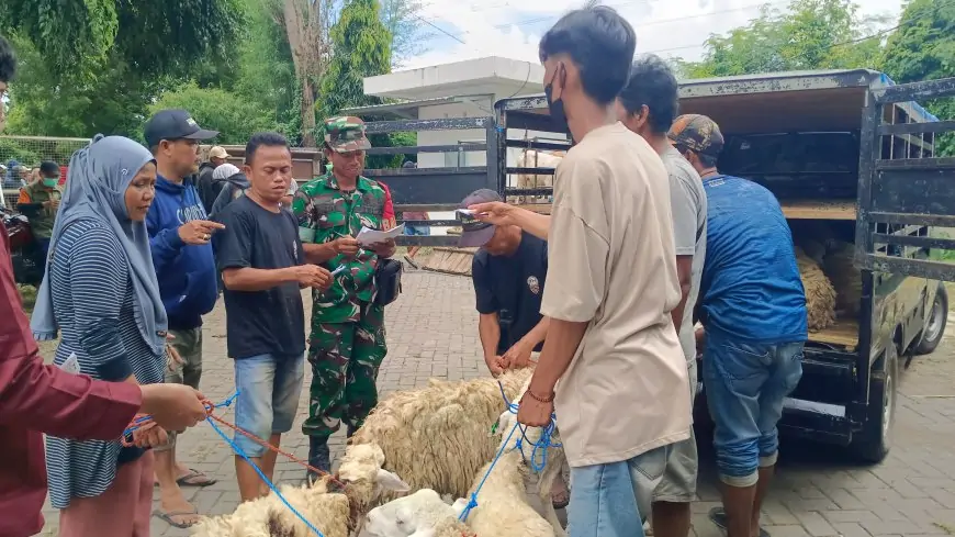 Kompensasi Bandara KASA, 150 Buruh Tani Situbondo Kini Punya Ternak Sapi dan Domba