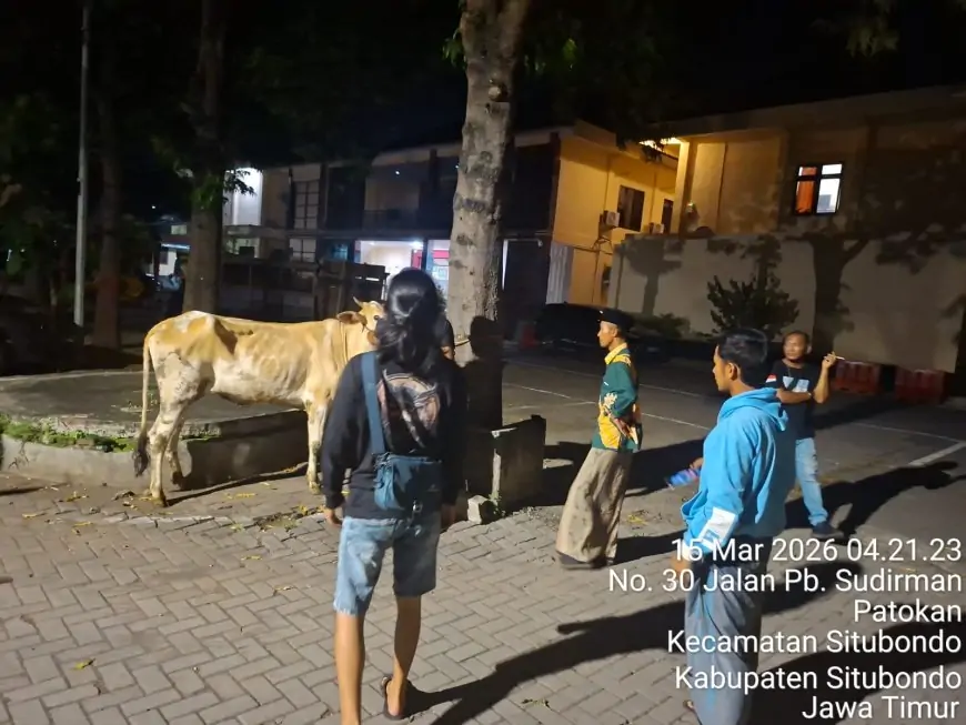 Lapor Kandang Dibobol Maling, Wanita di Situbondo Malah Masuk Sel Usai Polisi Temukan Kejanggalan