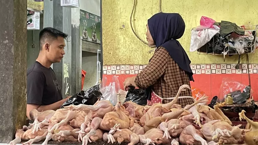 Harga Ayam di Pasar Sidoharjo Lamongan Masih Tinggi Pasca Lebaran, Warga Mengeluh