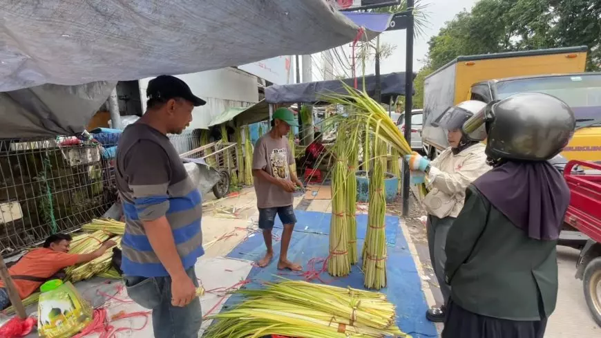 Jelang Lebaran Ketupat, Penjual Janur Dadakan di Lamongan Mulai Menjamur