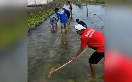 Banjir Mulai Surut, Pemuda Bojoasri Lamongan Sikat Jalan Berlumut yang Membahayakan Warga