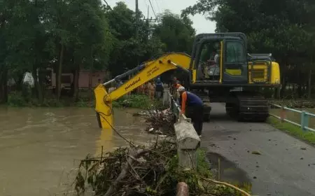 Tanaman Padi Terdampak Banjir, DPUPR Jombang Turun Bersihkan Sumbatan Sungai
