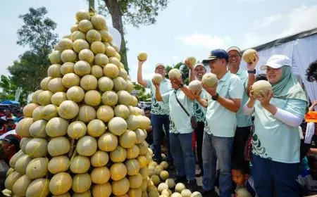 Inovasi Pupuk Petrokimia Gresik Naikkan Hasil Panen Melon Pantura hingga 20 Ton/Ha