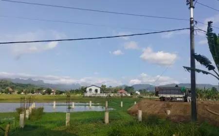 Proses LP2B Berjalan, Sejumlah Lahan Sawah Pacitan Justru Dibangun KDMP