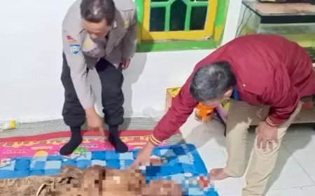 Jebakan Tikus Listrik Kembali Menelan Korban Jiwa, Petani di Benjeng Gresik Tewas Tersengat