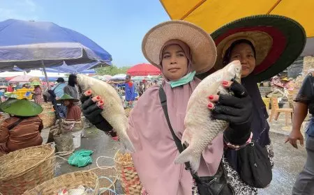 Harga Ikan Tawar di Lamongan Anjlok, Petani dan Pengepul Mengeluh