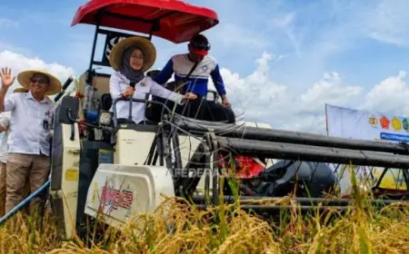 Serapan Beras Jatim Tembus 1,3 Juta Ton, Cadangan Pangan Aman 11 Bulan