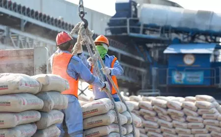 Borong 5 Sertifikat Green Label Platinum, SIG Tegaskan Dominasi Semen Rendah Emisi di Indonesia