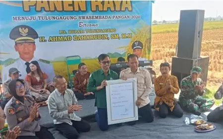 Panen Raya di Boyolangu Melimpah, Plt Bupati Ahmad Baharudin Dorong Petani Maksimalkan Lahan Tidur