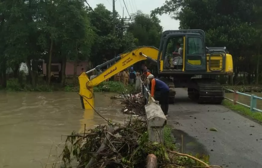 Tanaman Padi Terdampak Banjir, DPUPR Jombang Turun Bersihkan Sumbatan Sungai