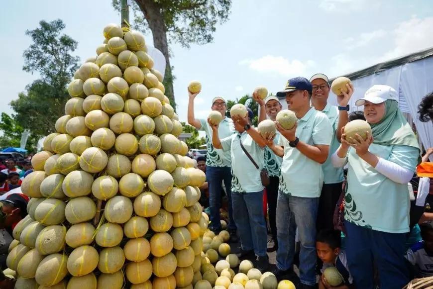 Inovasi Pupuk Petrokimia Gresik Naikkan Hasil Panen Melon Pantura hingga 20 Ton/Ha