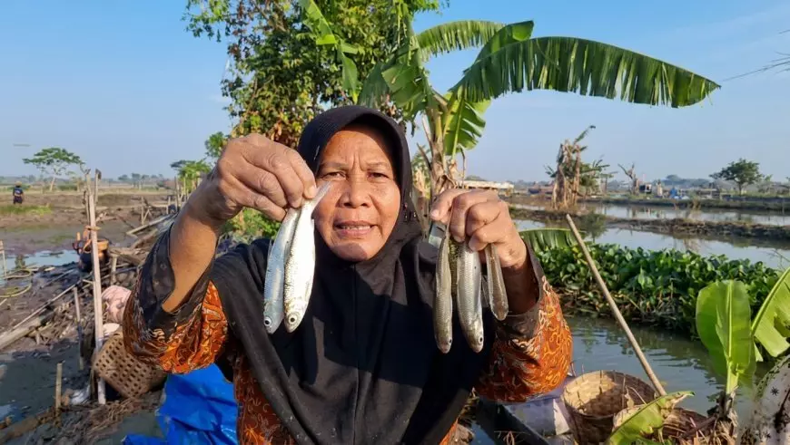 Hasil Panen Ikan Anjlok 80 Persen, Petambak di Lamongan Menjerit Kesulitan Pupuk