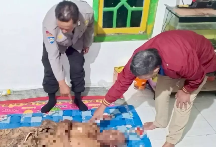 Jebakan Tikus Listrik Kembali Menelan Korban Jiwa, Petani di Benjeng Gresik Tewas Tersengat