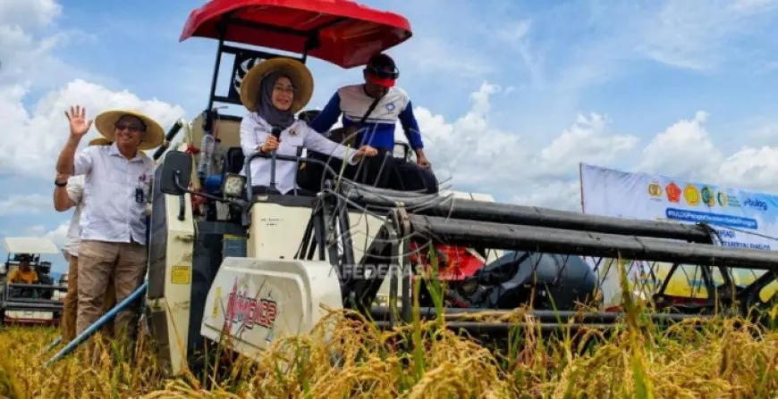 Serapan Beras Jatim Tembus 1,3 Juta Ton, Cadangan Pangan Aman 11 Bulan