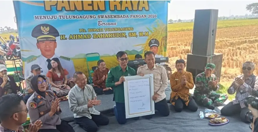 Panen Raya di Boyolangu Melimpah, Plt Bupati Ahmad Baharudin Dorong Petani Maksimalkan Lahan Tidur
