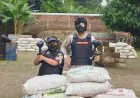 Sensasi Perang-perangan di Jombang: Uji Ketangkasan dan Adrenalin Lewat  Paintball!