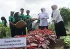 Gubernur Khofifah Resmikan Revitalisasi Puluhan Sekolah di Tulungagung Senilai Rp23,24 Miliar