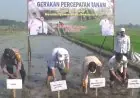 Percepatan Tanam di Jombang, Dinas Pertanian Targetkan 100 Persen Lahan Tercapai Bulan Mei