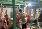 Pemotongan Hewan Kurban di RPH Lamongan Alami Peningkatan