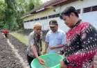SDN Keting Lamongan Sulap Lahan Tidur Jadi Kawasan Ketahanan Pangan untuk Menyokong Program MBG