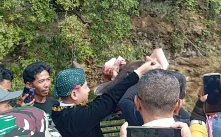 Tradisi Dam Bagong, Upaya Bupati Trenggalek Lestarikan Budaya Sekaligus Dongkrak Ekonomi