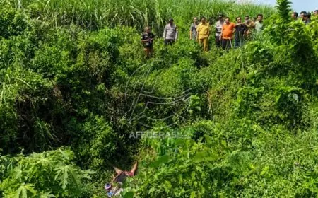 Lima Hari Menghilang, Nenek Sebatang Kara di Tulungagung Ditemukan Tewas di Kubangan Semak