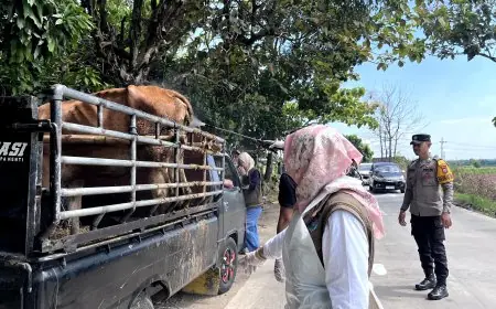 Disnakeswan Lamongan Perketat Lalu Lintas Ternak di Perbatasan Jombang