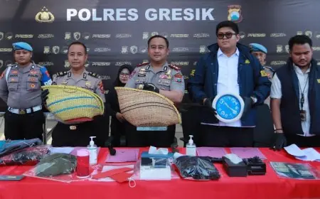 Arena Sabung Ayam di Gresik Digerebek, Polisi Amankan 6 Penjudi dan Barang Bukti
