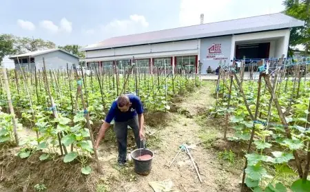 KDKMP Berdiri di Dekat Makam Tumenggungan Lamongan, Warga dan Juru Kunci Malah Bersyukur: Enggak Seram Lagi!