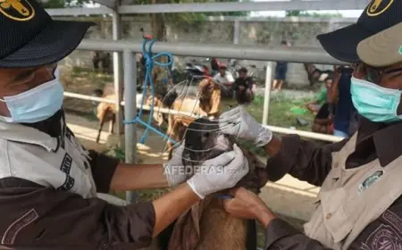Disnakeswan Pastikan Hewan Kurban di Tulungagung Sehat dan Stok Aman