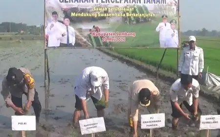 Percepatan Tanam di Jombang, Dinas Pertanian Targetkan 100 Persen Lahan Tercapai Bulan Mei