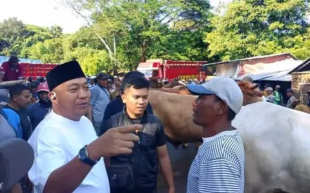 Pemkab Situbondo Revitalisasi Pasar Sapi Sumberkolak, Kapasitas Bakal Ditingkatkan Jadi 2.000 Ekor