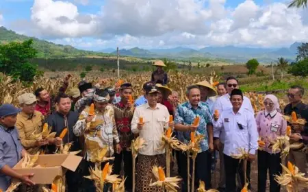 Dukung Swasembada Pangan, Ahmad Baharudin Ajak Warga Ngepoh Kelola Lahan dengan Bijak